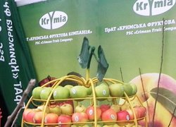 ІІІ Міжнародна спеціалізована виставка з виробництва, обробки, переробки та зберігання плодоовочевої продукції в Україні та СНД Логістика та торгівля у плодоовочевій індустрії